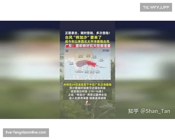 分析：伤病潮席卷多支意甲争冠球队，医疗团队面临压力