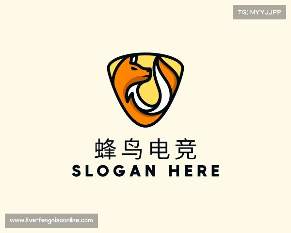 了解蜂鸟电竞